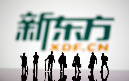 布局文旅再創業 新東方能否再造第二個“東方甄選”？